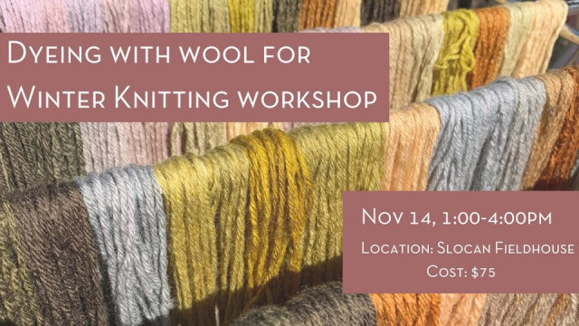 Wool Dye Workshop for Knitting