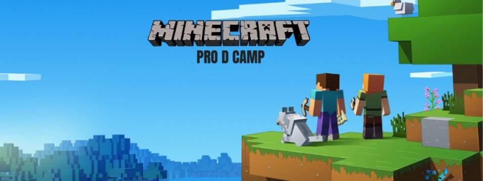Pro D Day Camp: Minecraft and Lego