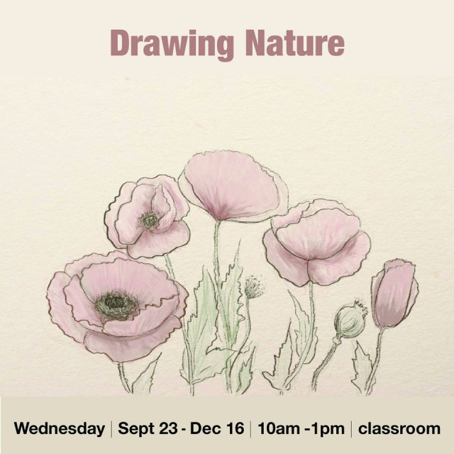 Drawing Nature