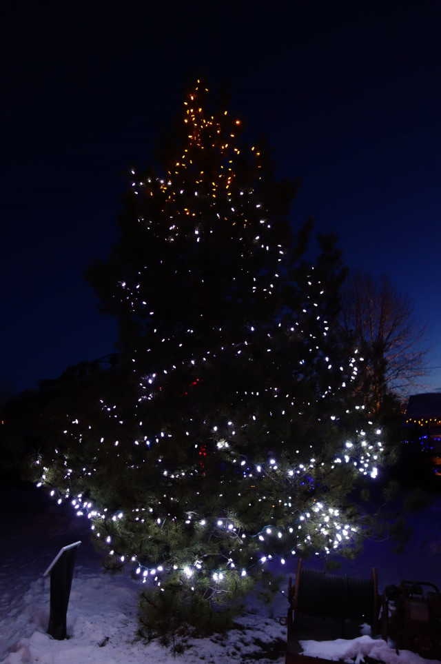 The Celebration of Lights Drive Thru