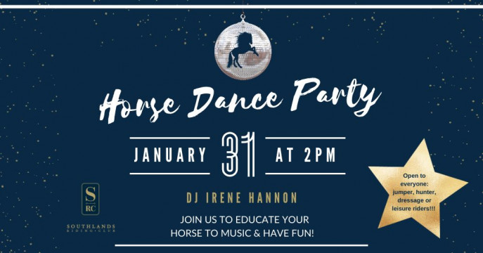 Horse Dance Party